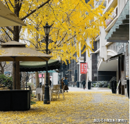 才是最靠谱的消息